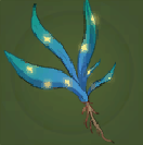 Sepastra Herb